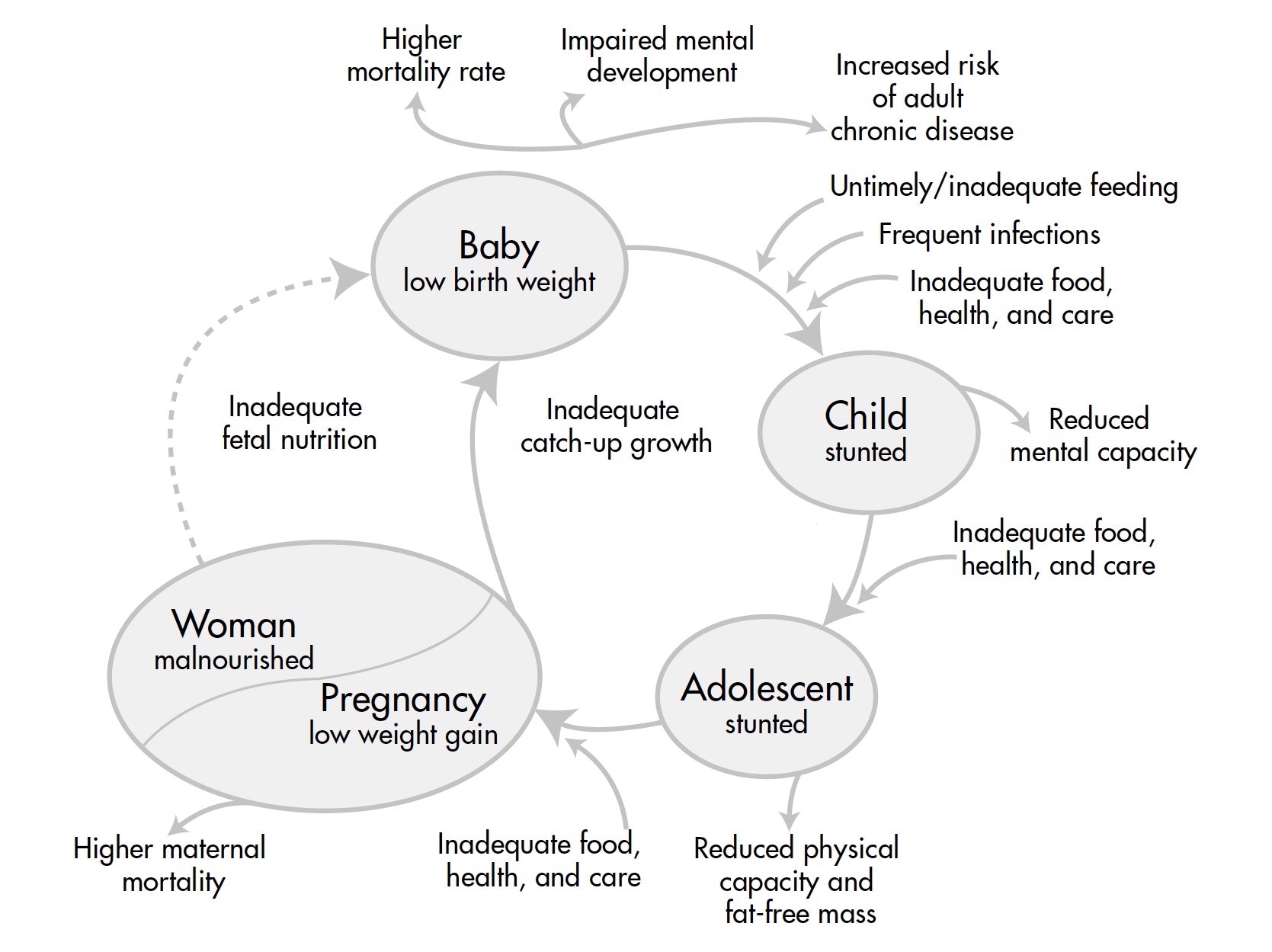 Healthy Mothers and Healthy Newborns: The Vital Link | PRB