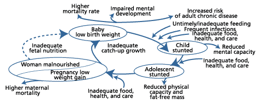 A) Effect of nutrient deficiencies on the specific growth rates