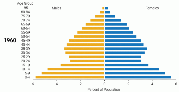 Population pyramid gif