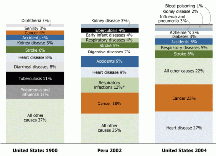 A graphic displaying the major causes of death in the United States and Peru.