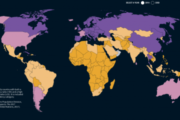 Map of entire world in purple and yellow.