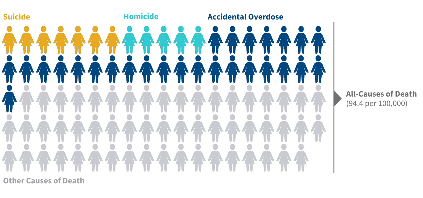 A pictographic representing the number of young women's deaths out of 100 caused by suicide (7), homicide (5), and accidental overdose (27).